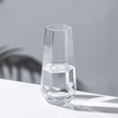 Modern Geometric Glass Vase