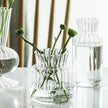 Nordic Transparent Glass Vase
