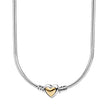 Silver Necklace with Gold Heart Clasp